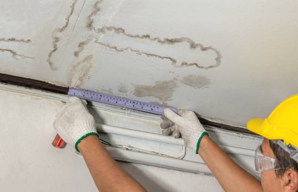 Reliable Structural Drying contractor in New Haven, WV by Water Damage Irwin